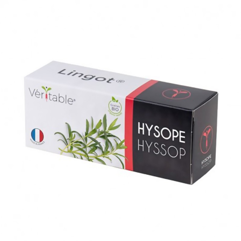 Genuine - Organic hyssop ingot - Seeds in refill ready to use
