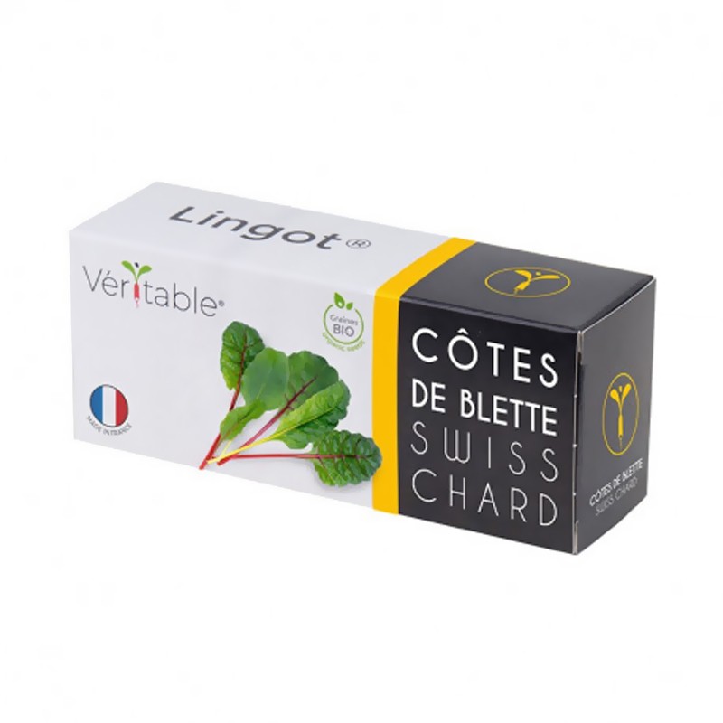 Véritable - Lingot Bio-Mangoldrippen - Samen in gebrauchsfertigen Nachfüllpackungen