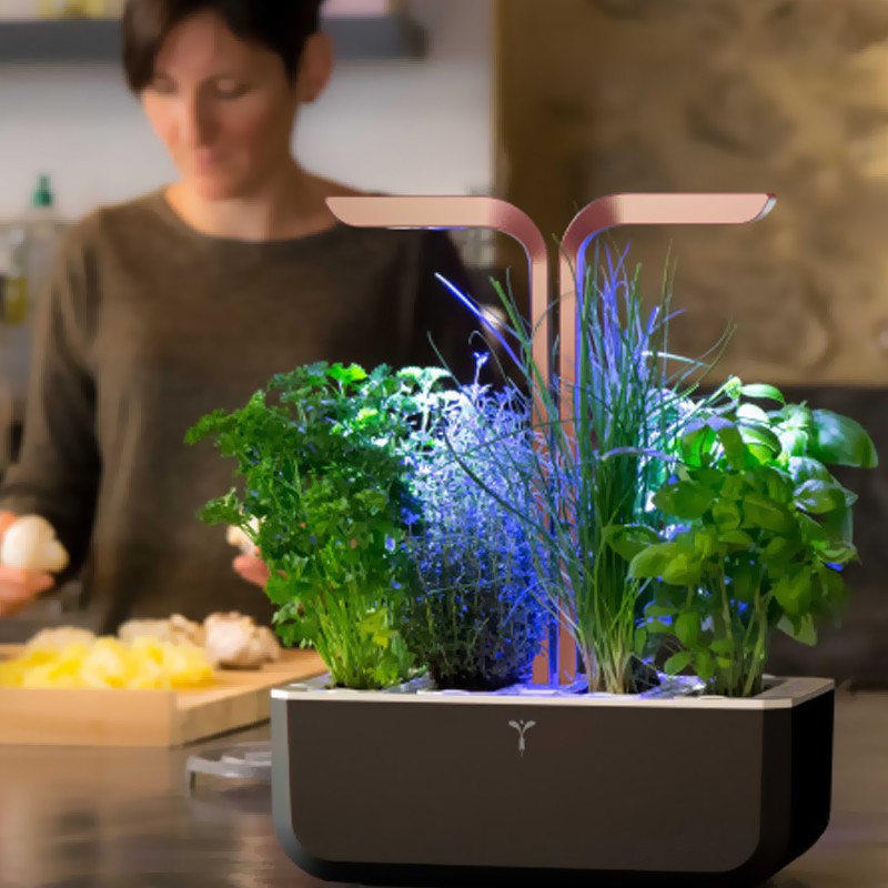 SMART COPPER REAL GARDEN