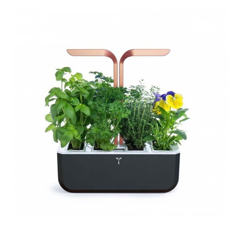 Echt - Moestuin - Smart Copper zwart + 4 Ingots