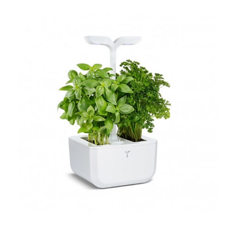 Véritable - Moestuin - Exky Classic wit + 2 Ingots