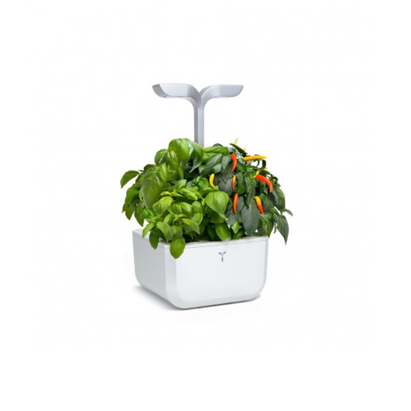 Véritable - Potager de cuisine - Exky Smart blanc + 2 Lingots