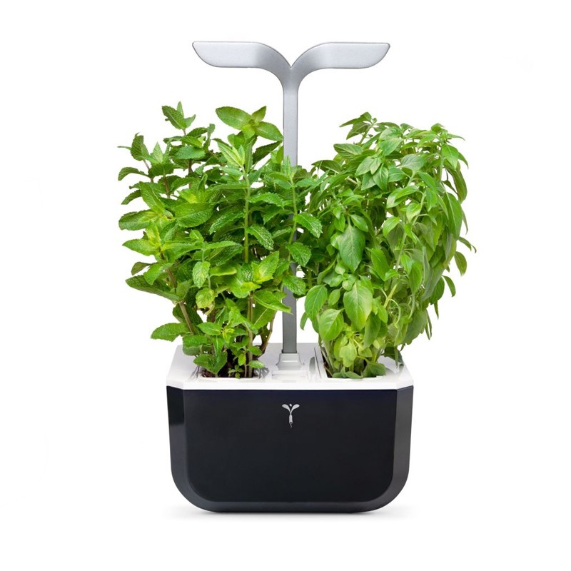Véritable - Potager de cuisine - Exky Smart soft black + 2 Lingots