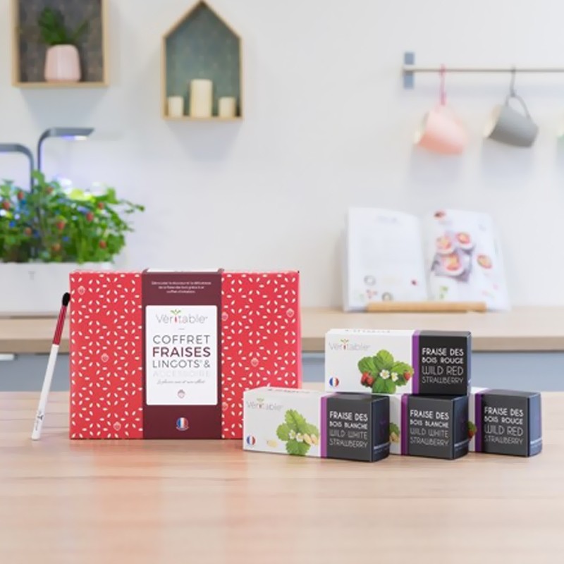 COFFRET DE LINGOTS ET ACCESSOIRE VERITABLE FRAISES