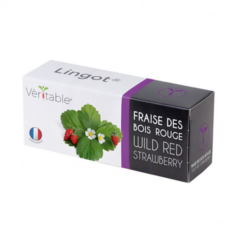 COFFRET DE LINGOTS ET ACCESSOIRE VERITABLE FRAISES