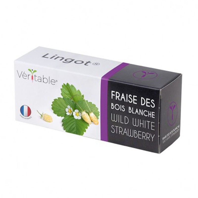 COFFRET DE LINGOTS ET ACCESSOIRE VERITABLE FRAISES