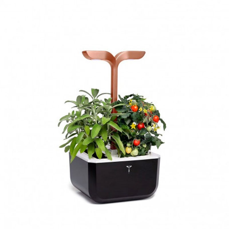 Véritable - Potager de cuisine - Exky Copper blanc + 2 Lingots
