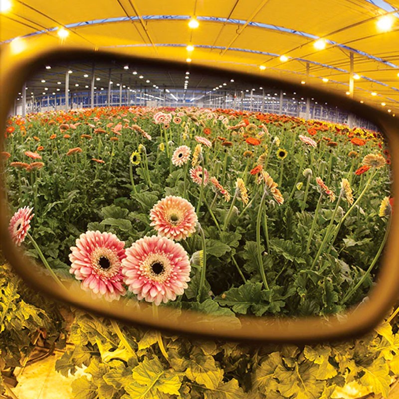 LUNETTES OPERATOR HPS PLUS METHOD SEVEN