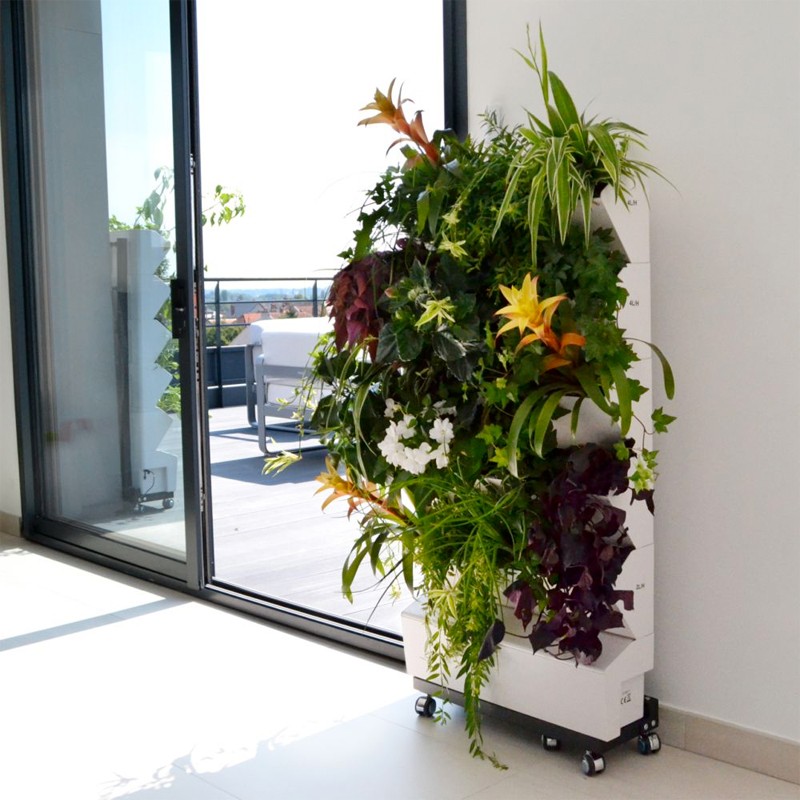 SOPORTE DE LA PLANTA AUTOMÁTICA SVA20