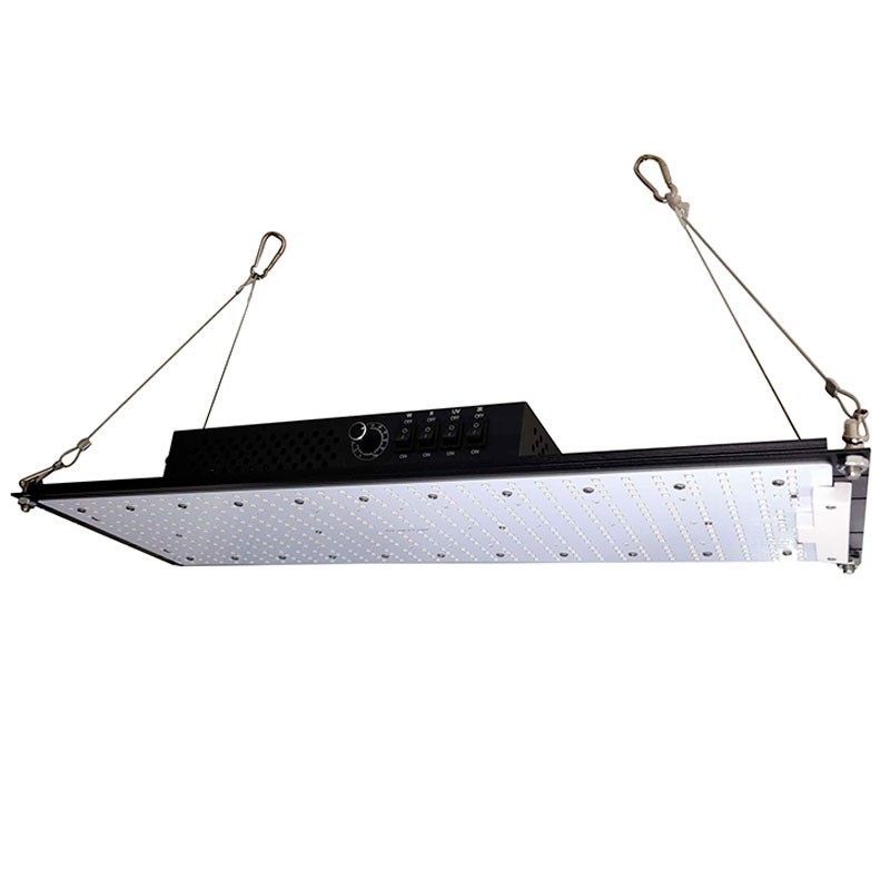 Indoorled - Quantum Board 240W - 3400K