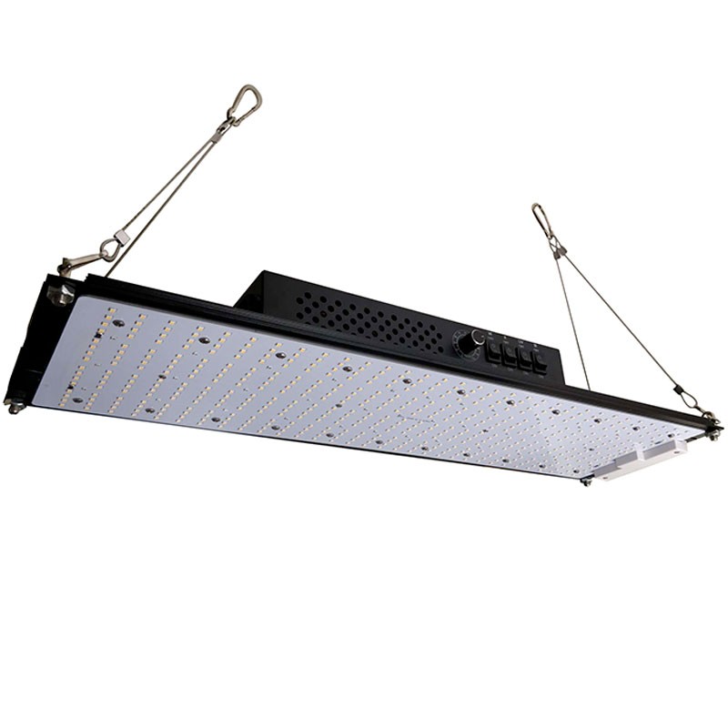 SCHEDA QUANTUM INDOORLED 240W 3000K