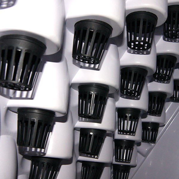Culture Indoor hydroponic garden equipment: Pyramid 100 plants