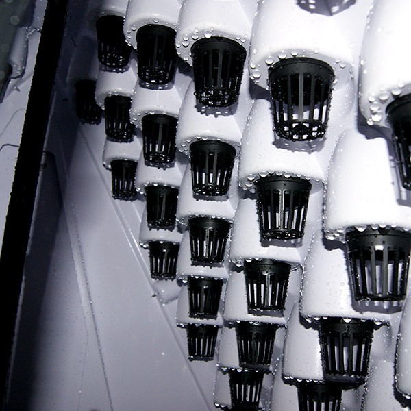 Culture Indoor hydroponic garden equipment: Pyramid 100 plants