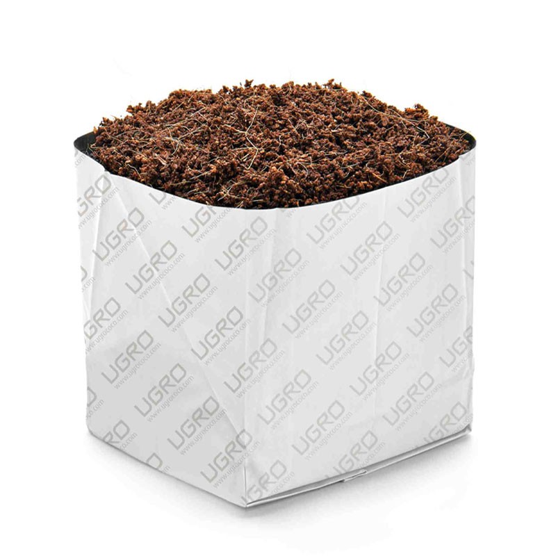 Ugro - Cube 6 - Rhiza - 3L