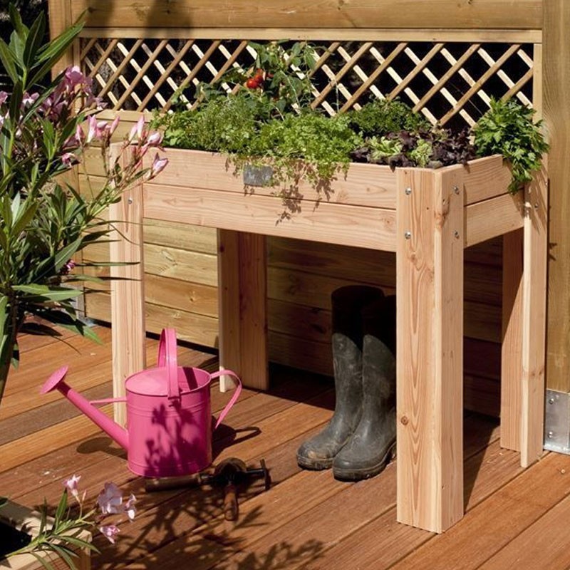 DOUGLAS FIR GARDEN 100X50X80