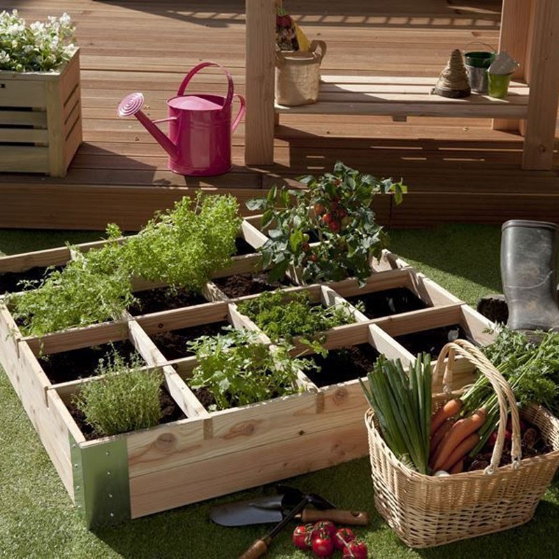 GARTEN ARAVIS DOUGLAS 100X100X20
