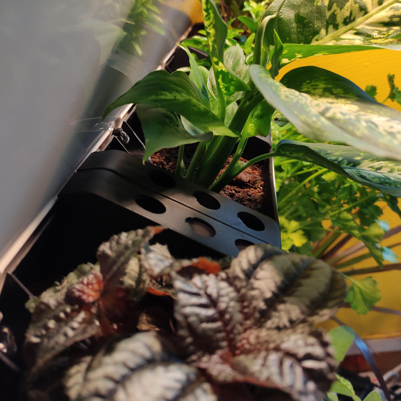 SOPORTE DE LA PLANTA AUTOMÁTICA SVA20