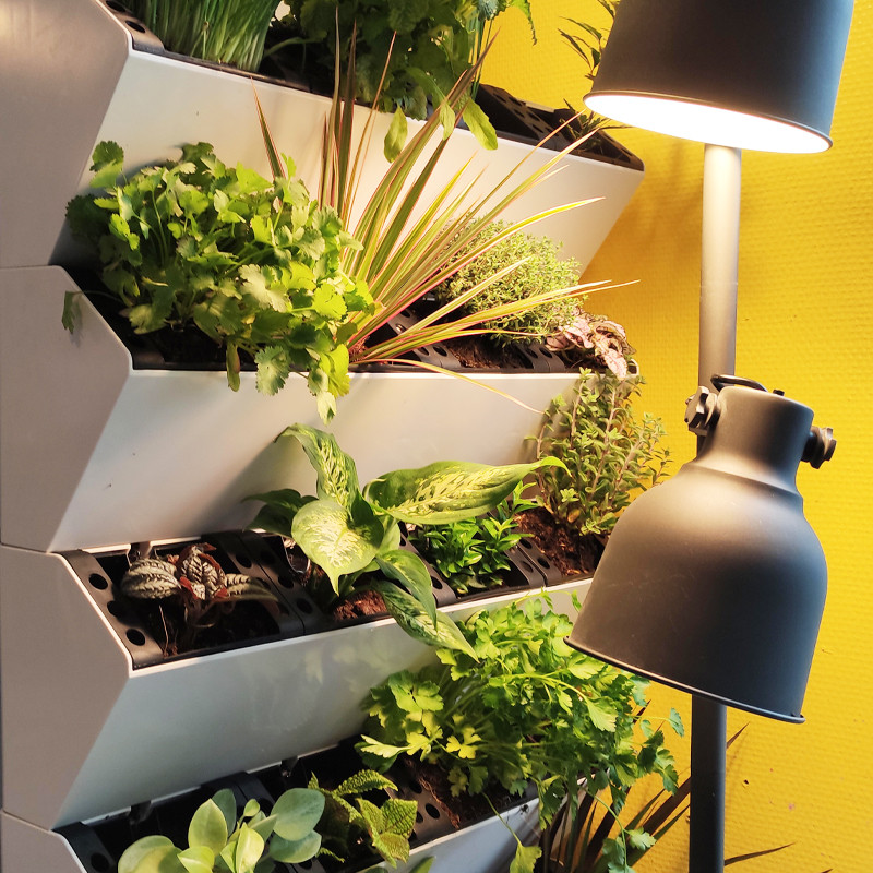 SOPORTE DE LA PLANTA AUTOMÁTICA SVA20