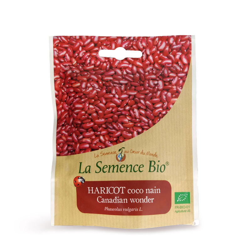  La Semence Bio - Borlotto wonder klimmende kokosboon