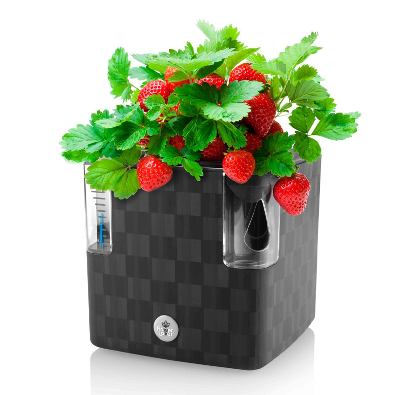  Amante de flores - Pote auto-irrigível - Cobble -14x14x14cm - Azul aço