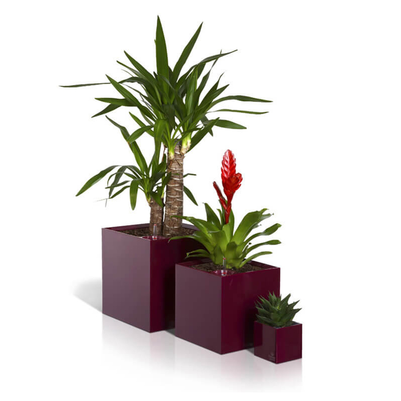 CUBICO 27X27X27 VIOLET