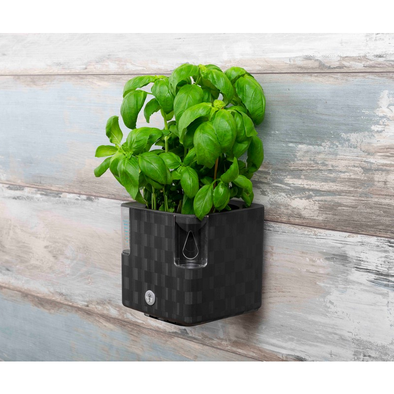 Flower Lover - Cobble Pot Holder