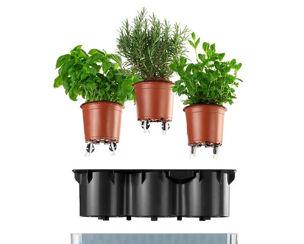 Flower Lover - Mèche de rechange pour pot Cobble