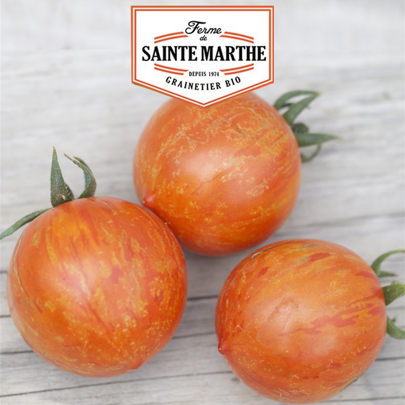 La ferme Sainte Marthe - 50 seeds Tomato red zebra
