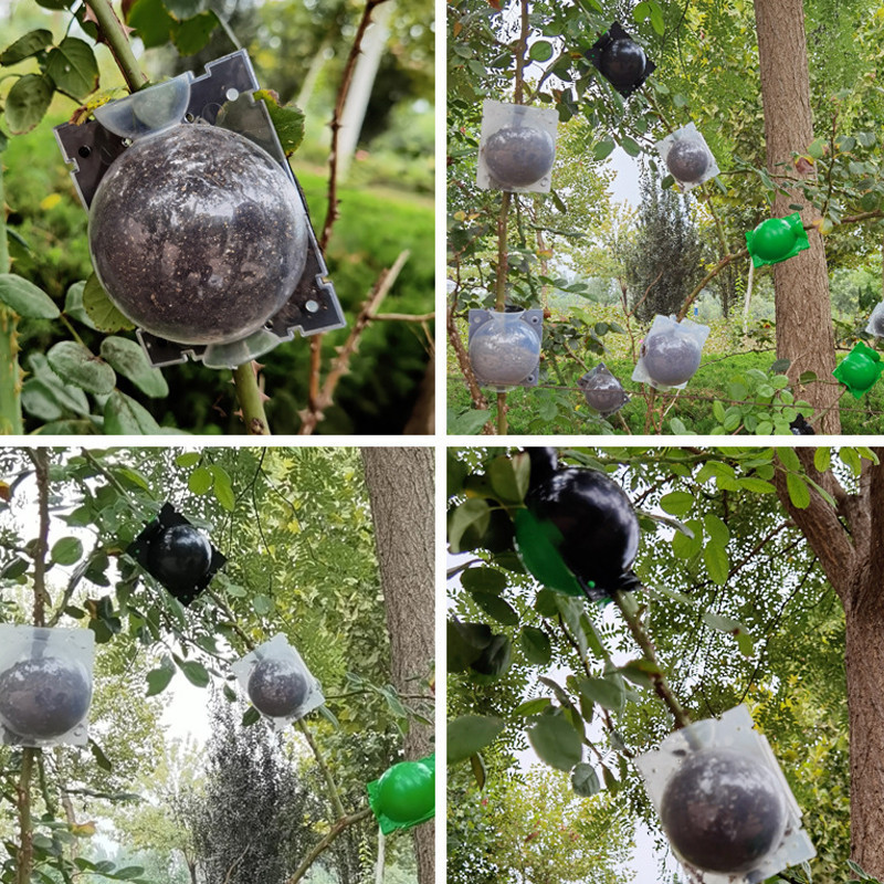 10 Boules Enracinement Noires S - VG Garden
