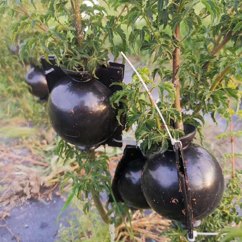 3 Boules Enracinement Noires L - VG Garden