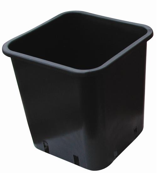 Black plastic square pot 7X7X6.5 - 0.24L