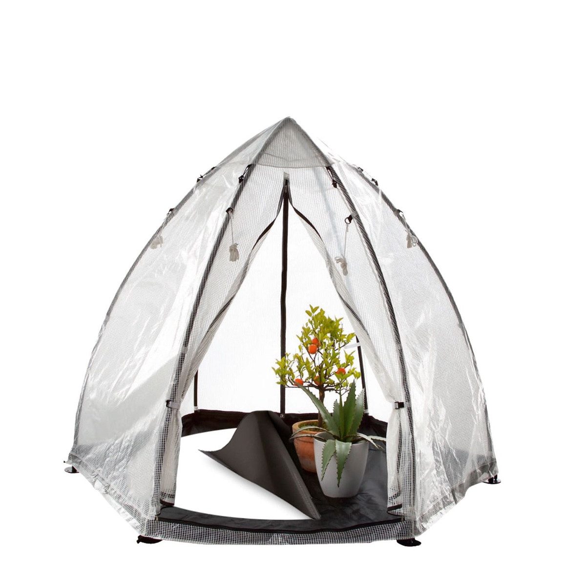 Biogreen - Serre d'hivernage Tropical Island L - h200 Ø240cm
