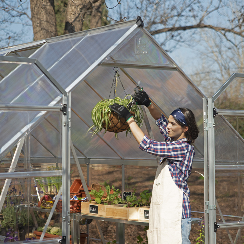 Canopia - Polycarbonate Garden Greenhouse - Balance™ Silver - 240x360cm