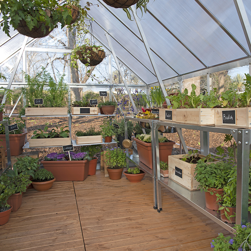 Canopia - Serre de jardin en polycarbonate - Balance™ Silver - 240x600cm