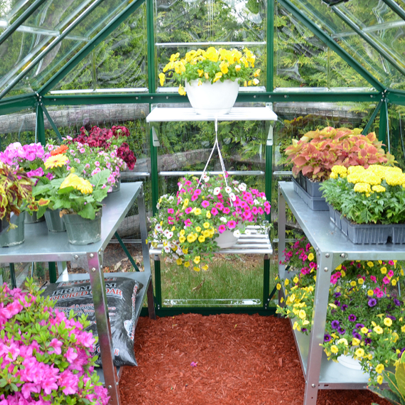 Canopia - Polycarbonate terrace greenhouse - Harmony™ Green - 180x180cm