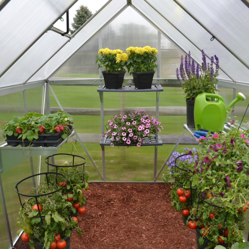 Canopia - Polycarbonate double walled garden greenhouse - Mythos™ Silver - 180x120cm