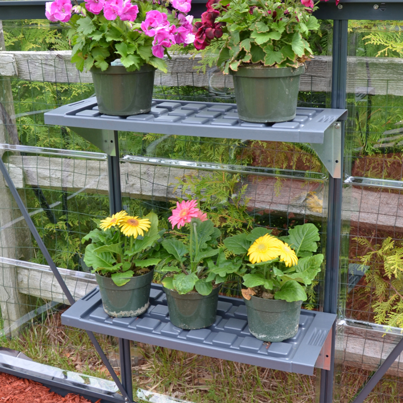 Canopia - Kit 2 recovery shelves for greenhouse