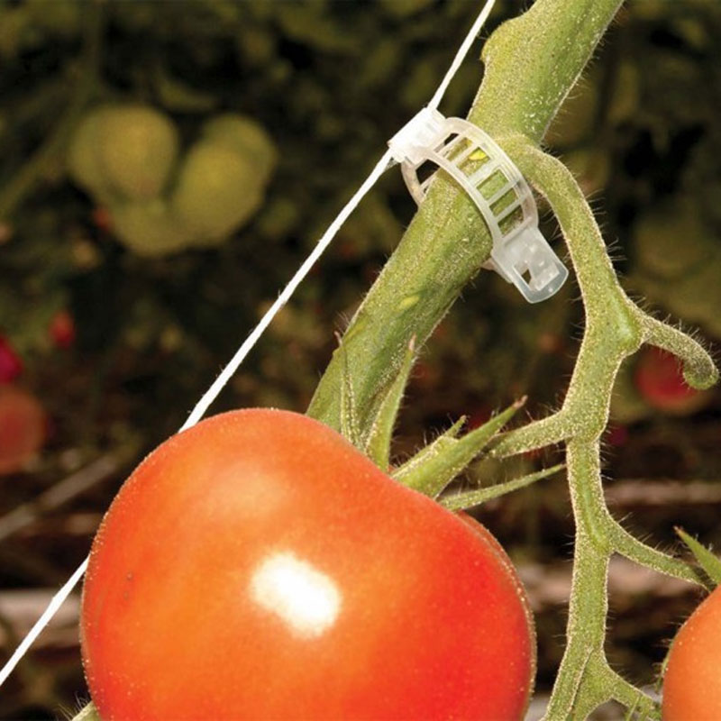 Canopia - Pro trellising kit