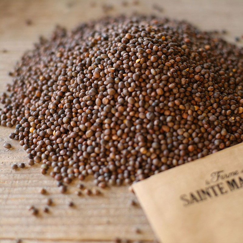 La ferme Sainte Marthe - Arveja de Cerdaña - 150g