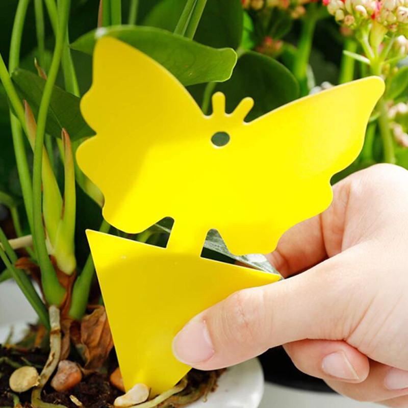 VG Garden - 12 Pièges gluants jaunes - 8cm
