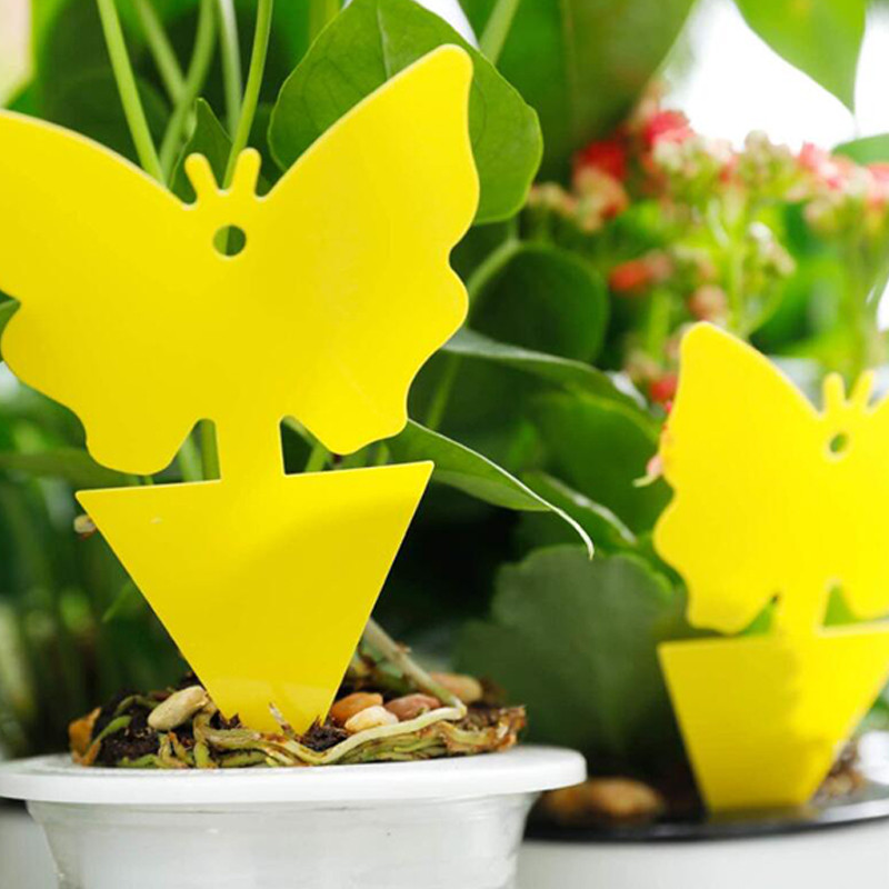 VG Garden - 12 Glibberfallen gelb - 8cm