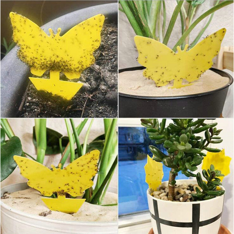 VG Garden - 12 Pièges gluants jaunes - 8cm