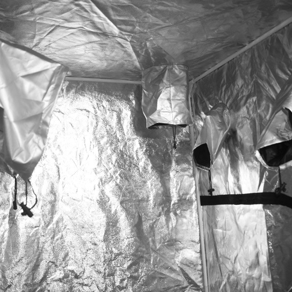  Blackbox Silver - Grow Room - BBS V2 - 120x120x200cm