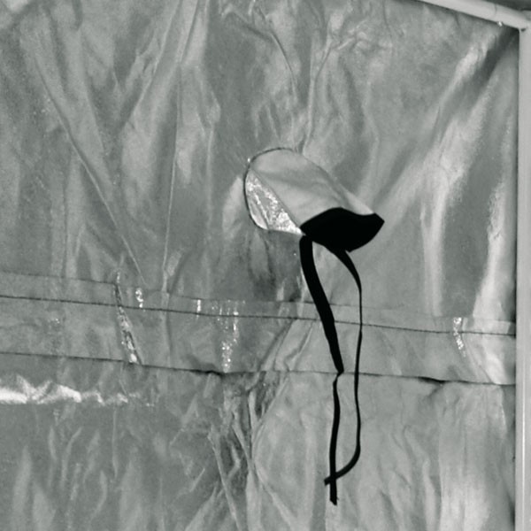 Blackbox Silver - Chambre de culture BBS 240x240x220 cm