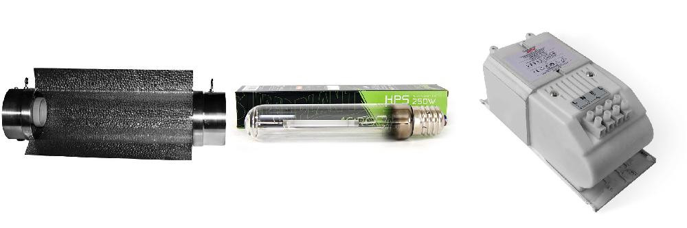KIT LUCE MAGNETICA HPS 250w ELT 31