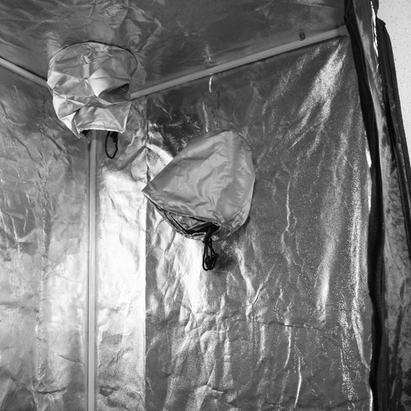  Blackbox Silver - Chambre de Culture - BBS V2 - 150x80x200cm
