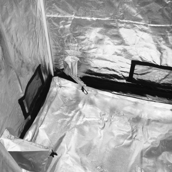  Blackbox Silver - Sala de cultivo - BBS V2 - 150x80x200cm