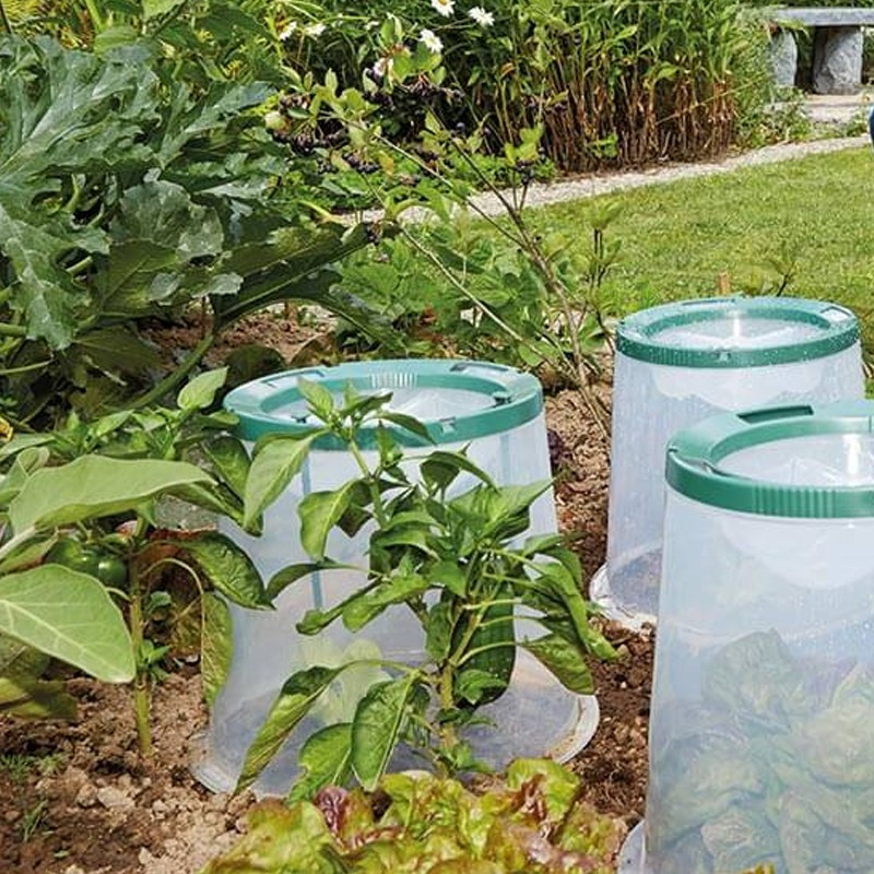 Garantia - Sunny vegetable garden bell greenhouse
