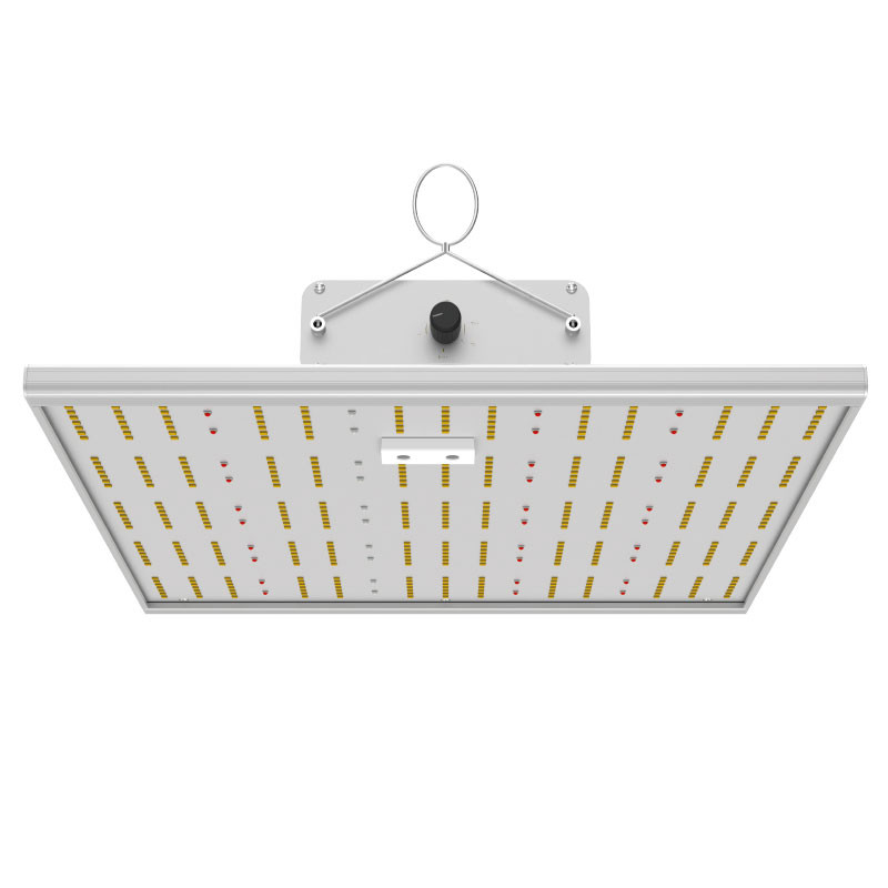 Indoorled - INDOORLED QUANTUM MAX 150