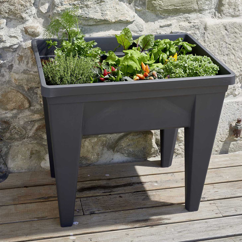 EDA - Potager Veg&table MAX - 75.6x55.6x68CM - 85L - Gris Anthracite -